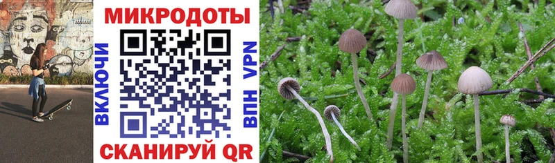Псилоцибиновые грибы мицелий  Шумерля 
